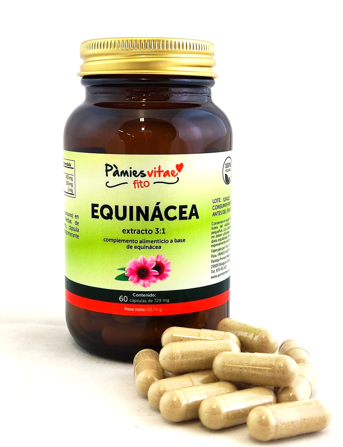 Equinácea Pàmies Vitae