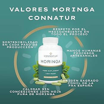 Moringa de Connatur - Imagen 2
