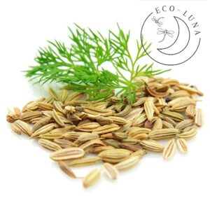 Hinojo Hierba para Infusión ECO