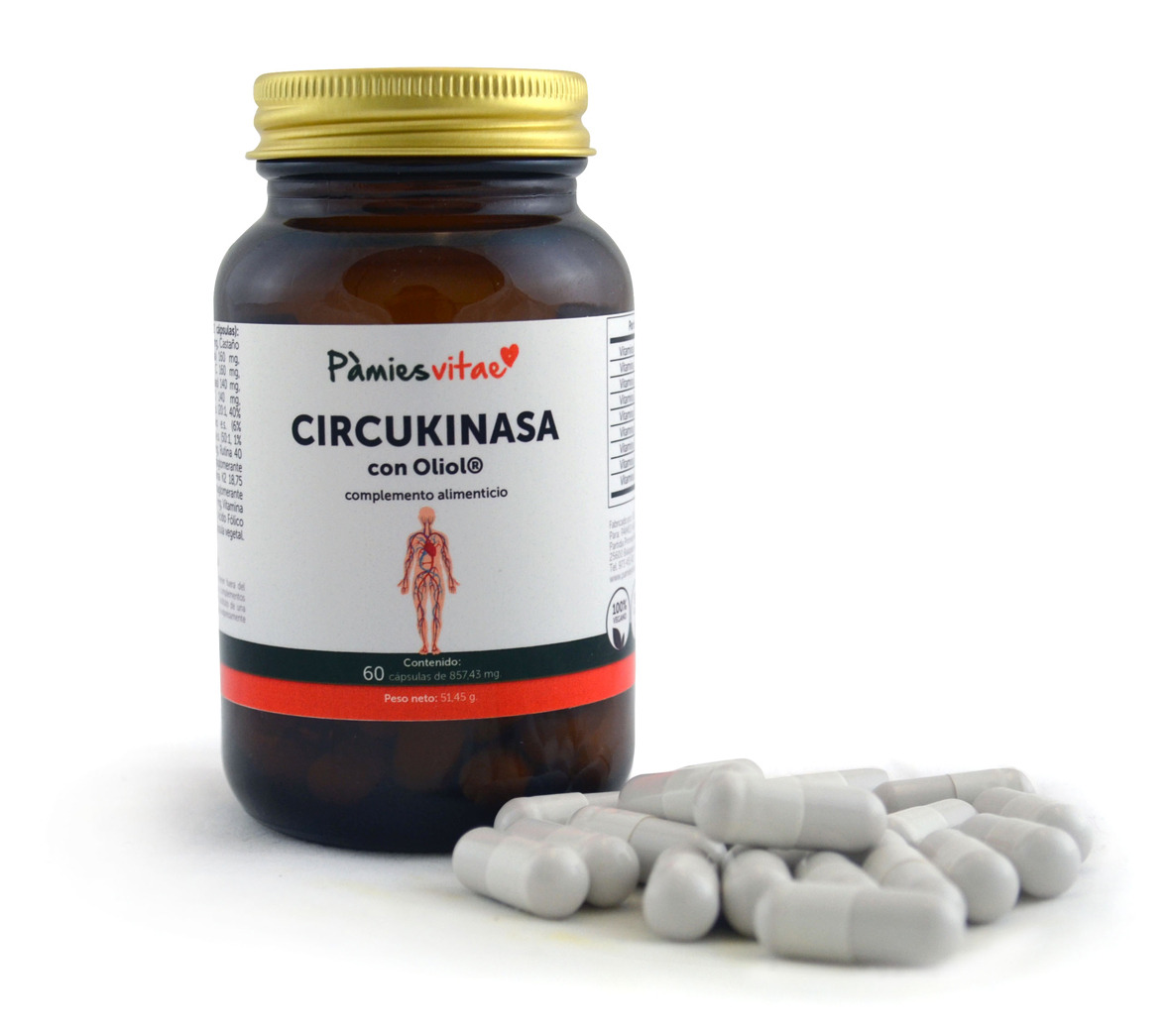 Circukinasa de Pamies Vitae - Imagen 2