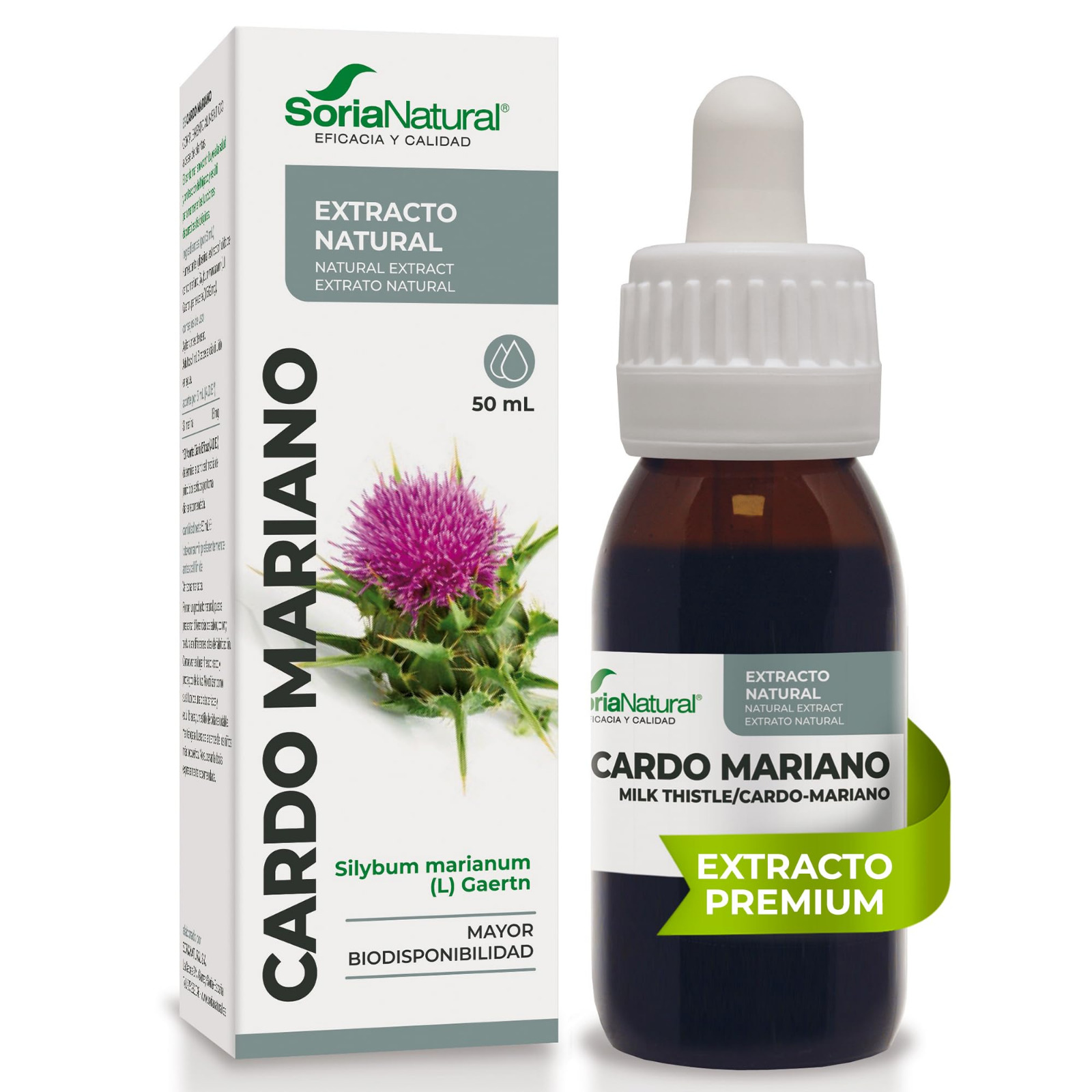 Cardo mariano en gotas – Soria Natural