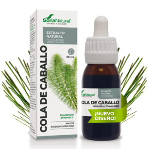 Cola de caballo en gotas - Soria Natural