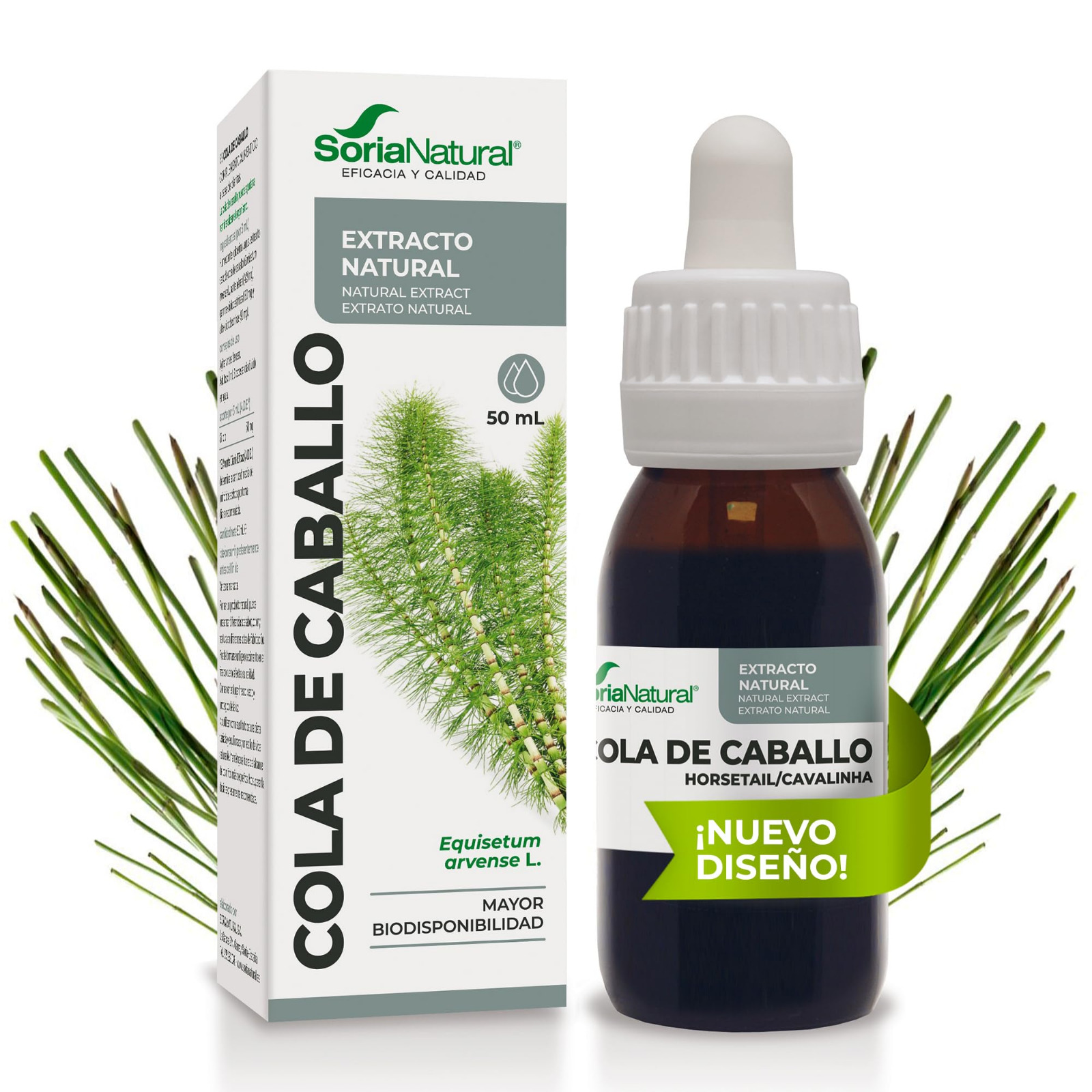 Cola de caballo en gotas – Soria Natural